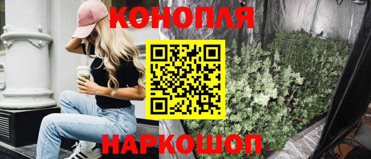 Нижний Новгород  Бошки марихуана планчик  Вход с VPN  Каннабис тримм 